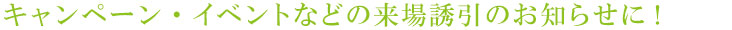 キャンペーン