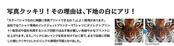 写真クッキリ！その理由は下地にアリ！